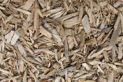 biomass boilers Milebush